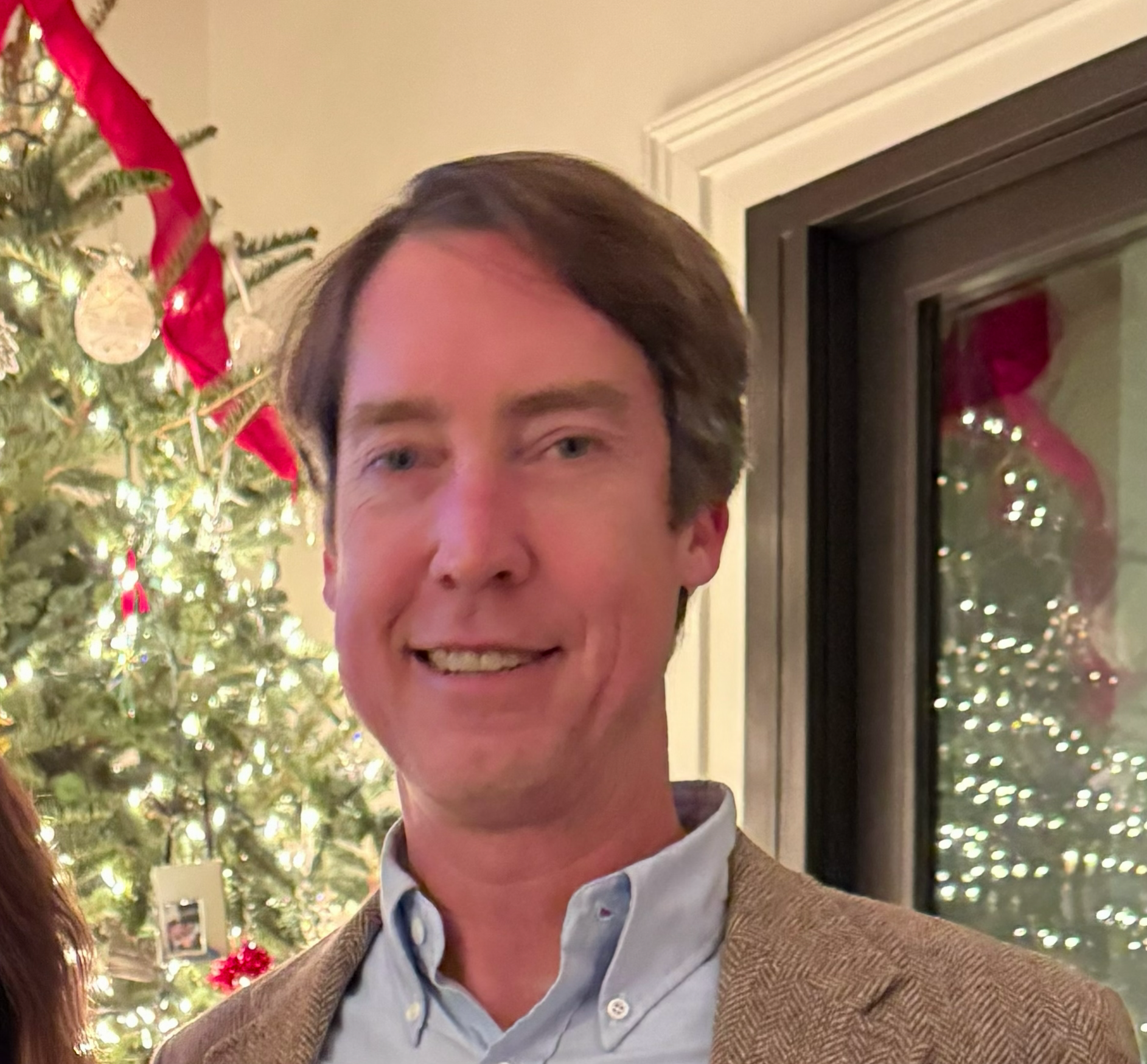 A portrait beside a decorated Christmas tree.